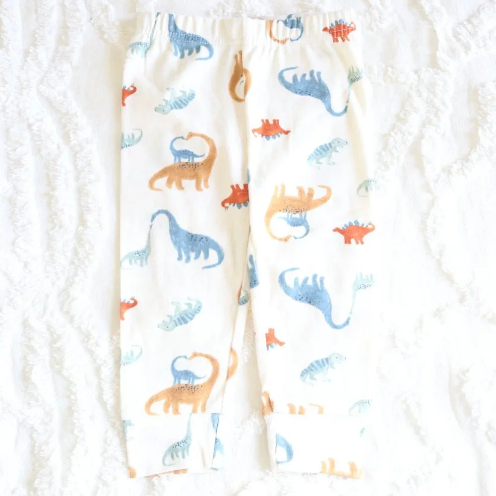 Baby Boy Dinosaur Watercolor Leggings Comfy Elastic Pull On Pants